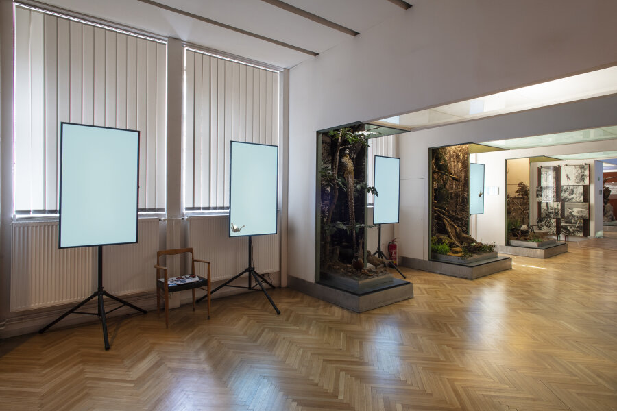 Martin Kohout, Moravské zemské muzeum, expozice Fauna Moravy, foto: Eva Rybářová